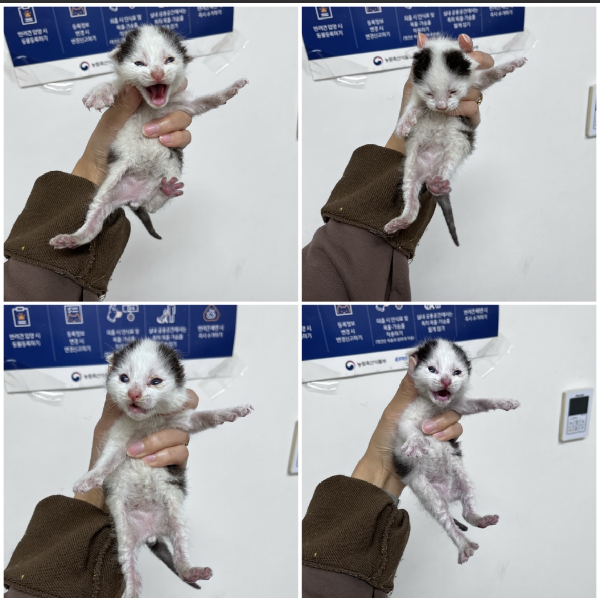 종료(자연사) 한국…