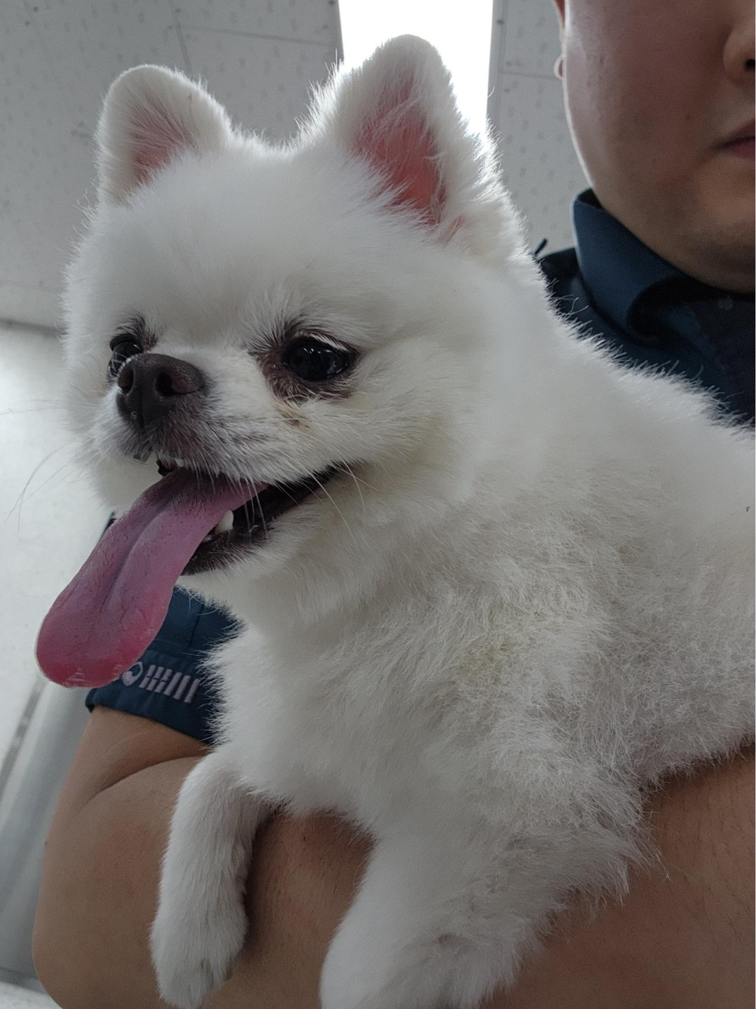 강릉시 동물사랑센터_442420202300562