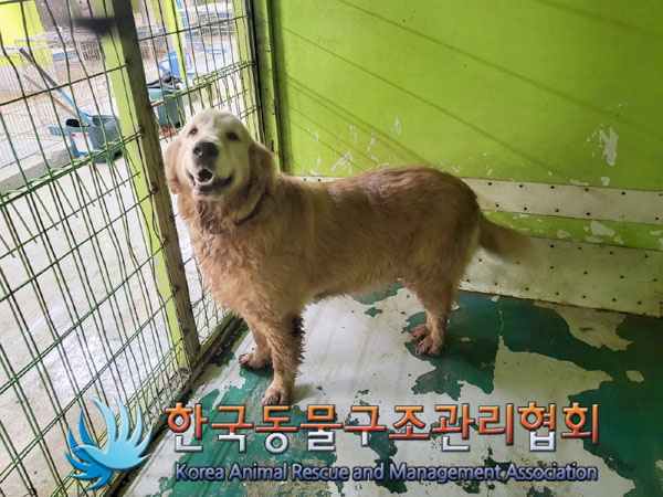한국동물구조관리협회_441406202301413