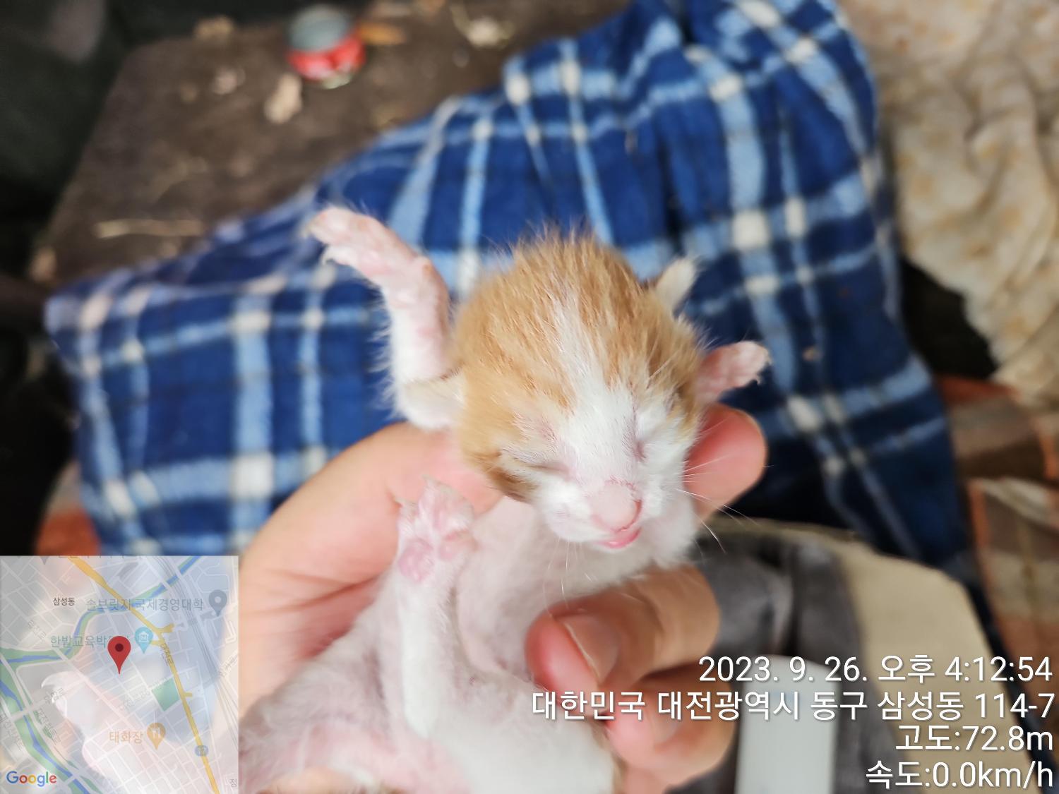대전동물보호센터_430365202300465