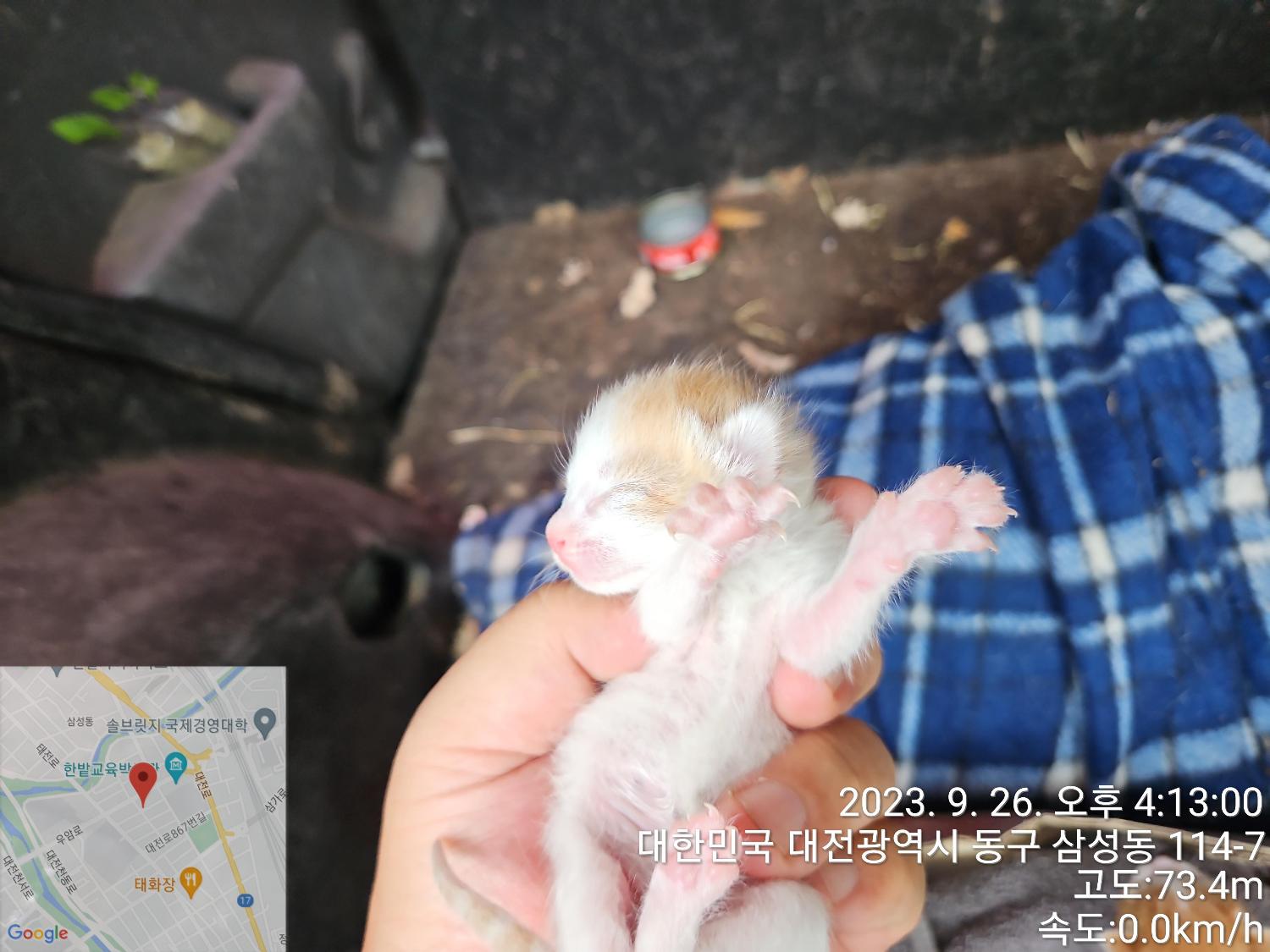 종료(자연사) 한국…