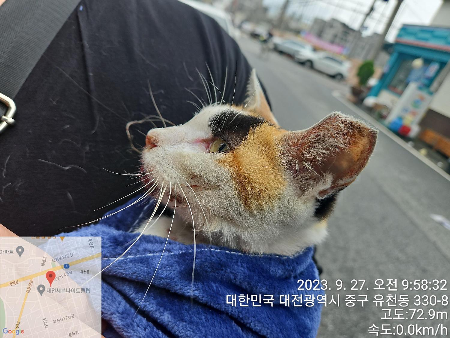대전동물보호센터_430365202300468