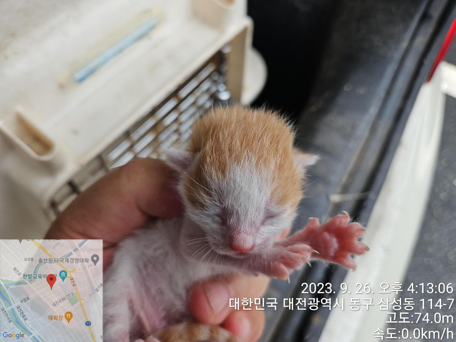 종료(자연사) 한국…