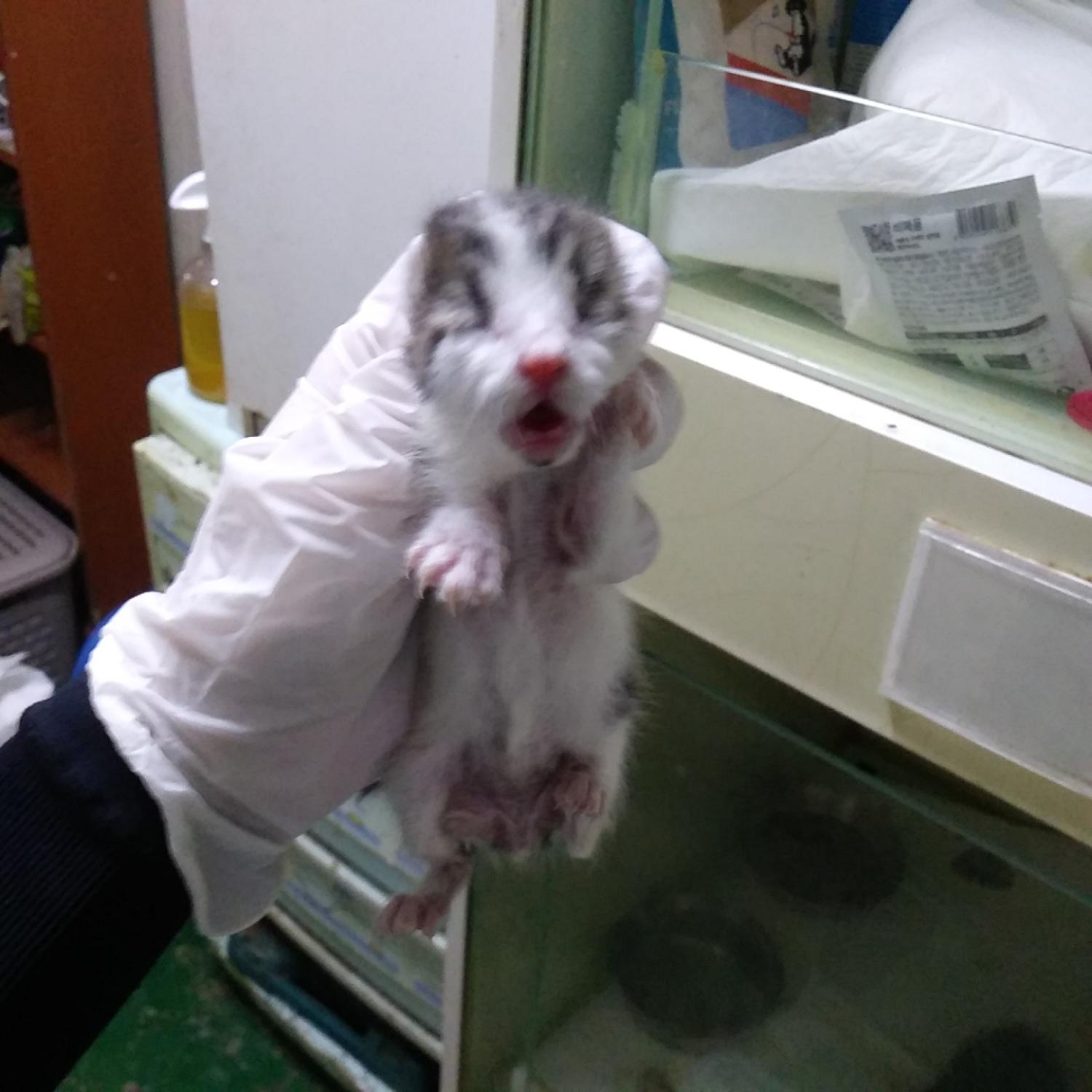 종료(자연사) 한국…