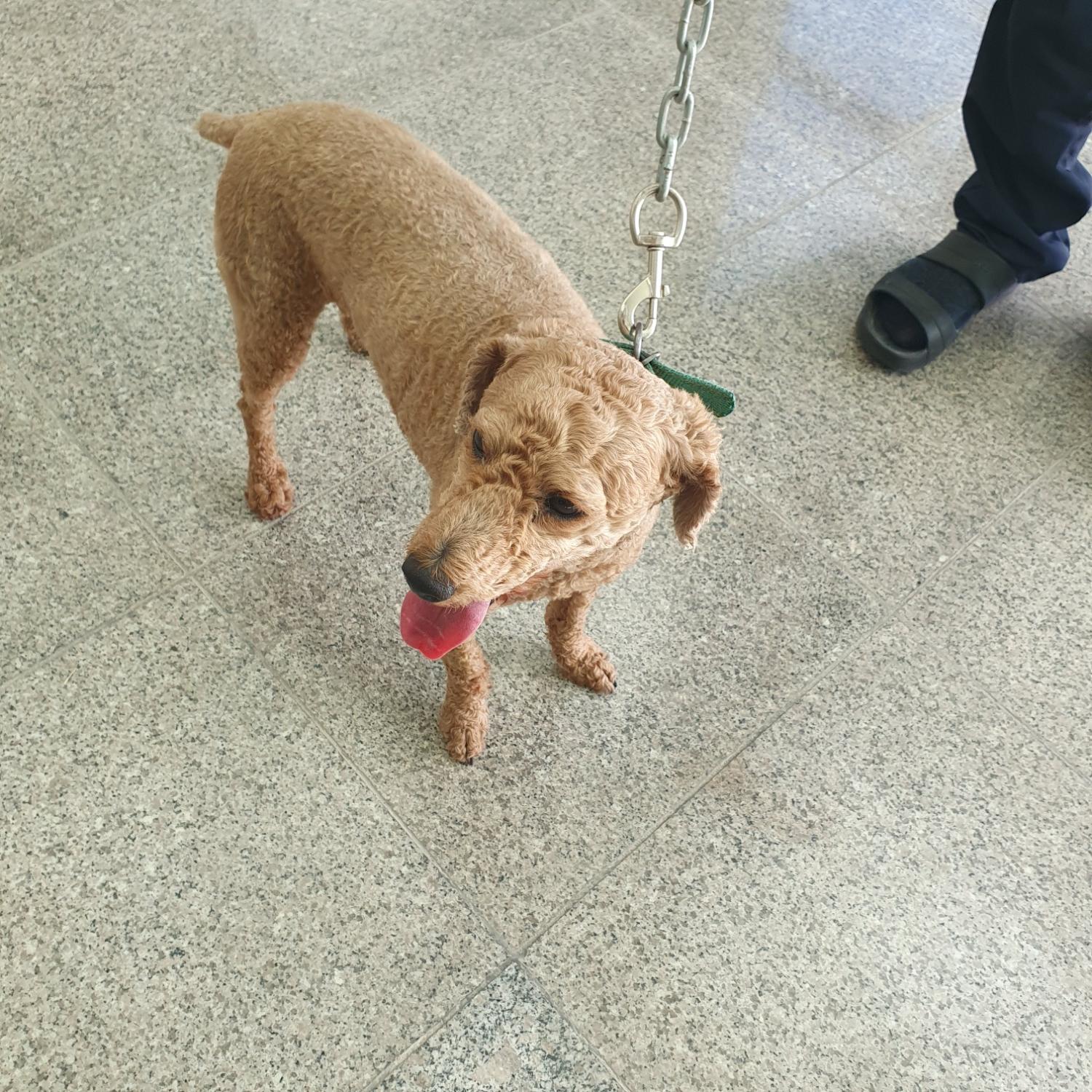 구미시 동물보호센터_447508202300937