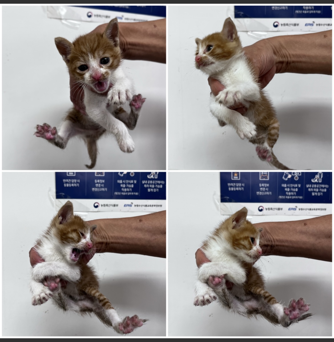 종료(자연사) 한국…