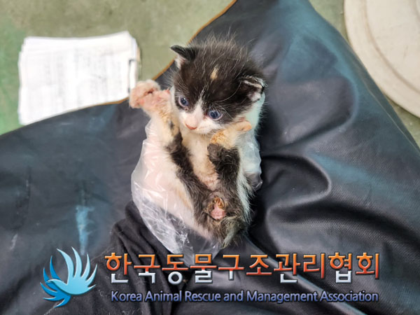한국동물구조관리협회_411311202300786