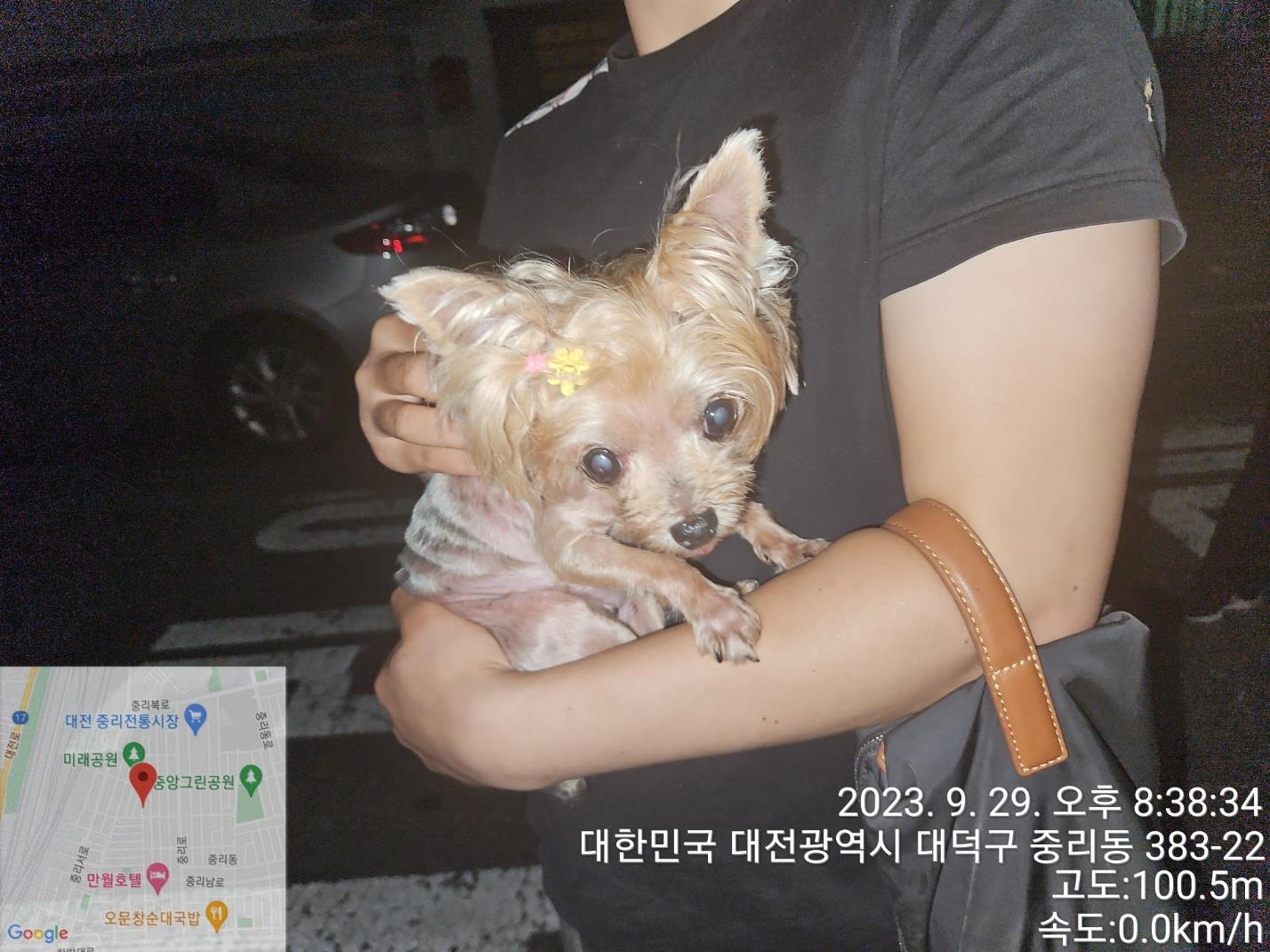 종료(반환) 요크셔…