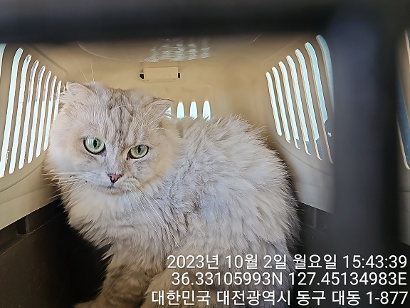 대전동물보호센터_430364202300317