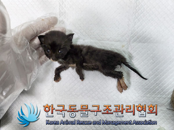 종료(자연사) 한국…
