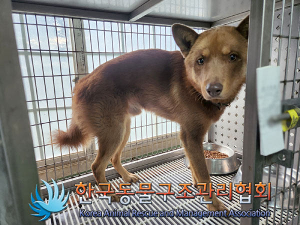종료(안락사) 믹스…