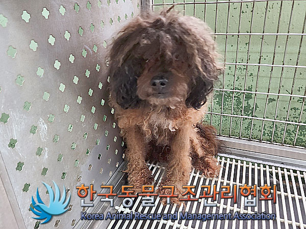 한국동물구조관리협회_411322202300652
