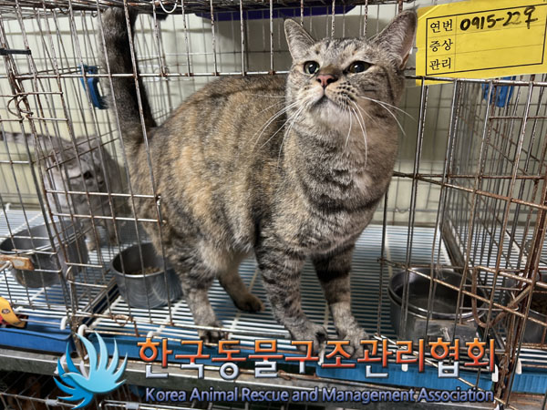 한국동물구조관리협회_411322202300653