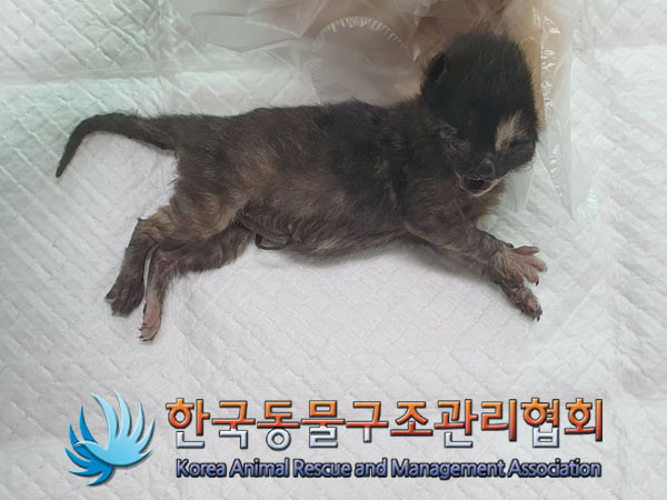 종료(자연사) 한국…