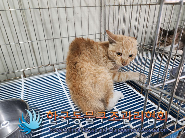 종료(자연사) 한국…