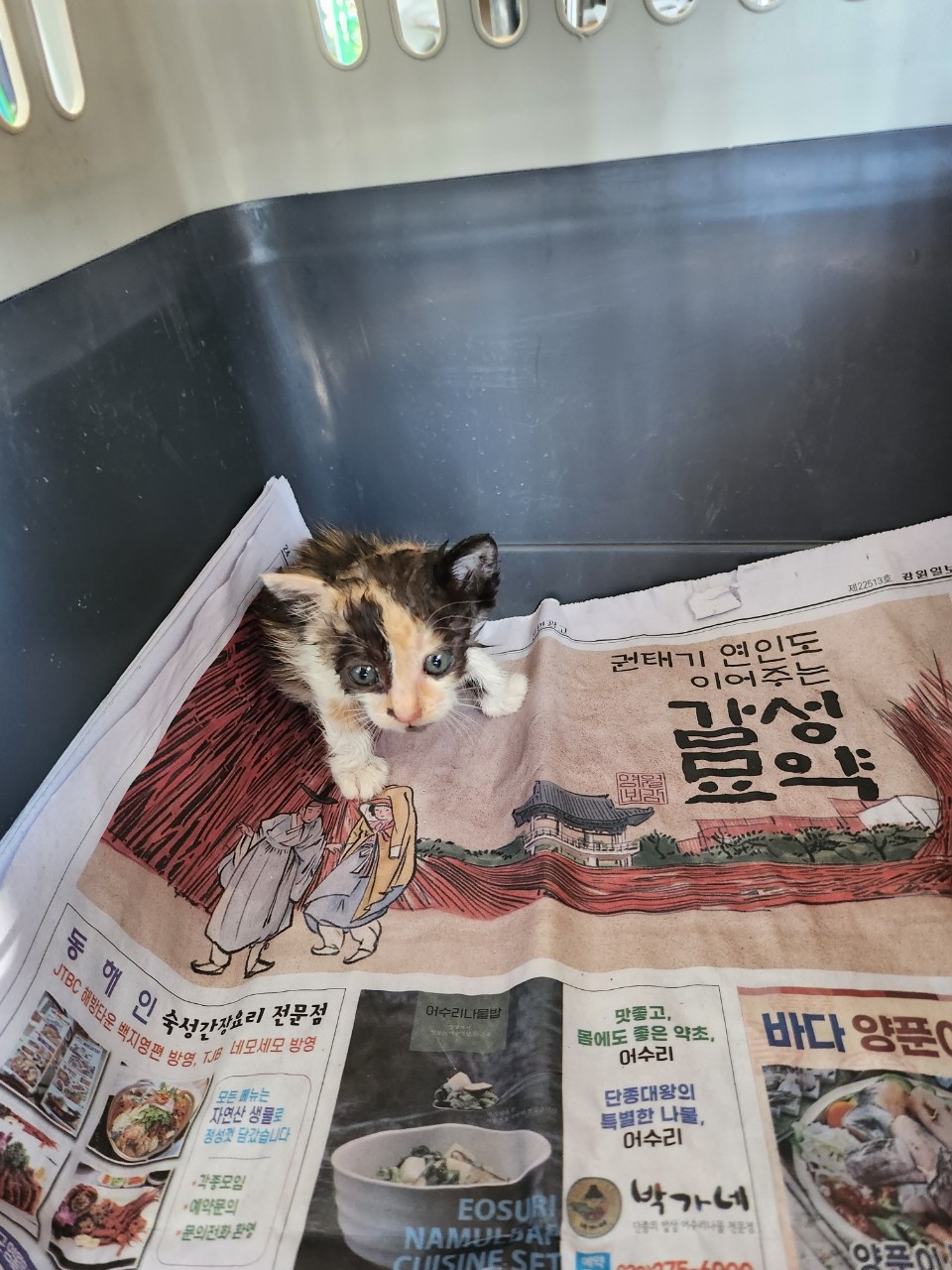 종료(자연사) 한국…