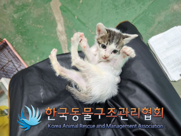 종료(자연사) 한국…