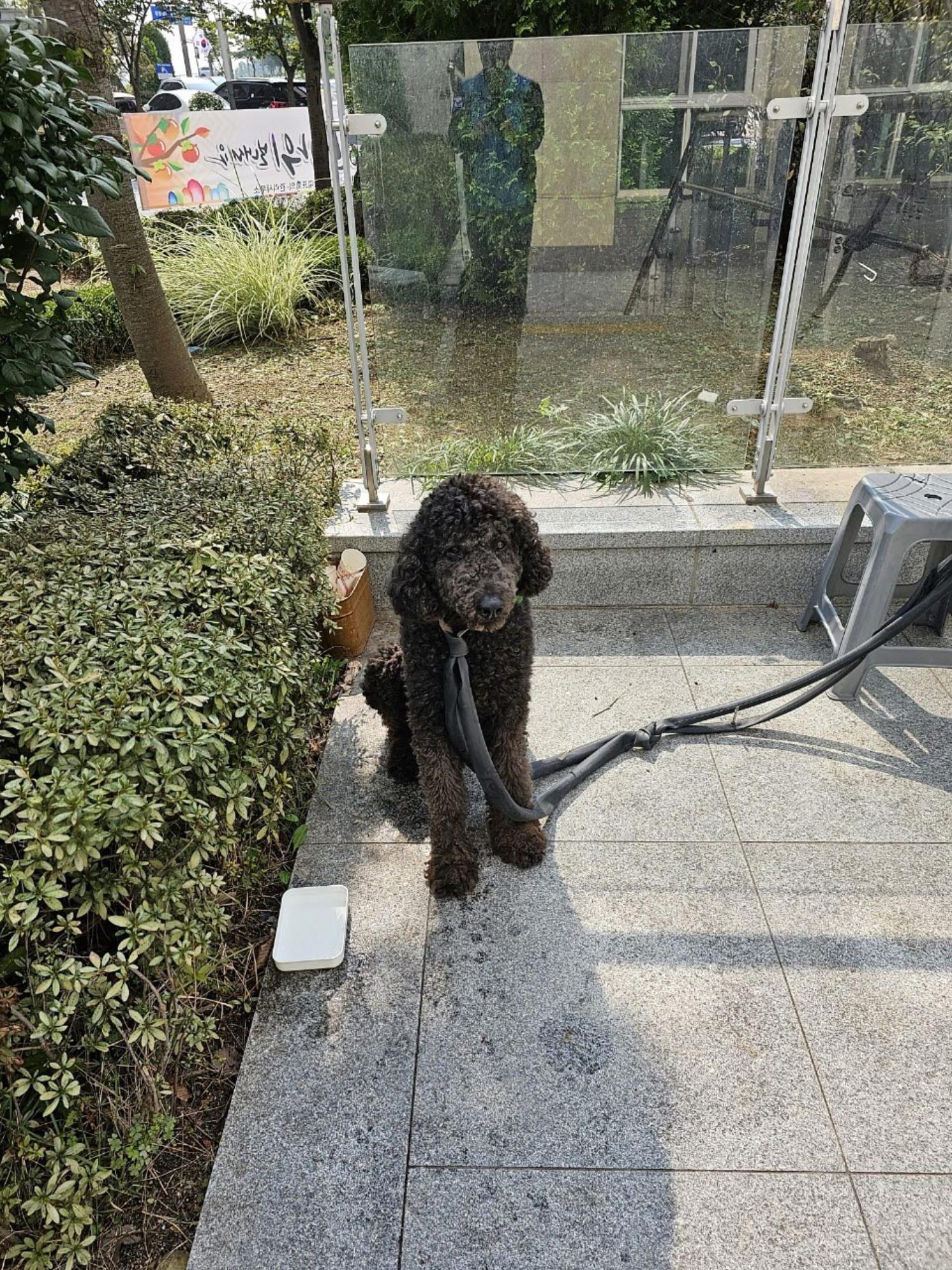종료(반환) 스탠다…