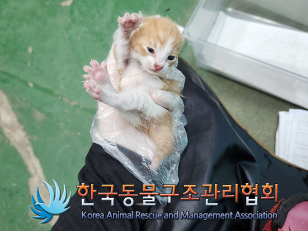 한국동물구조관리협회_441560202301297