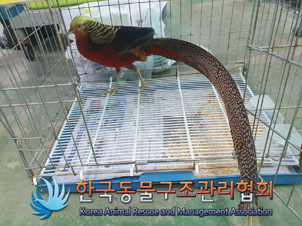 한국동물구조관리협회_441382202300663