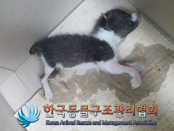 종료(자연사) 한국…