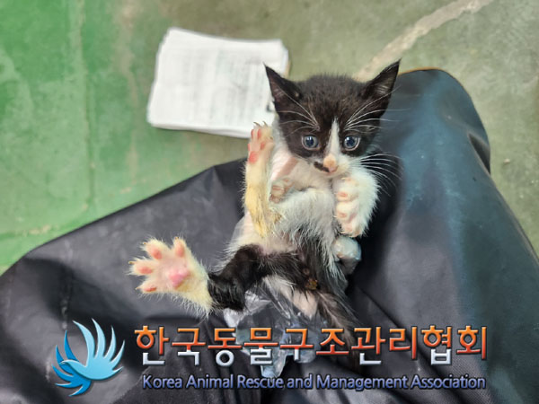 종료(자연사) 한국…