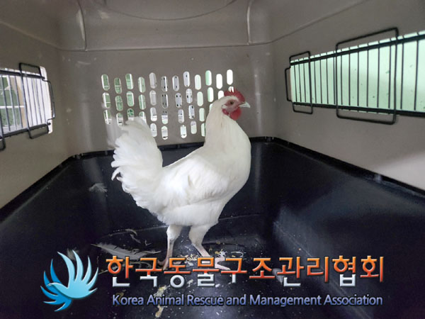 한국동물구조관리협회_441406202301429