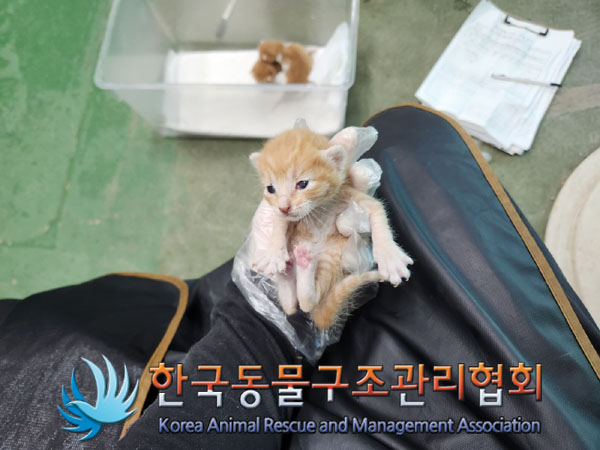 한국동물구조관리협회_441560202301299