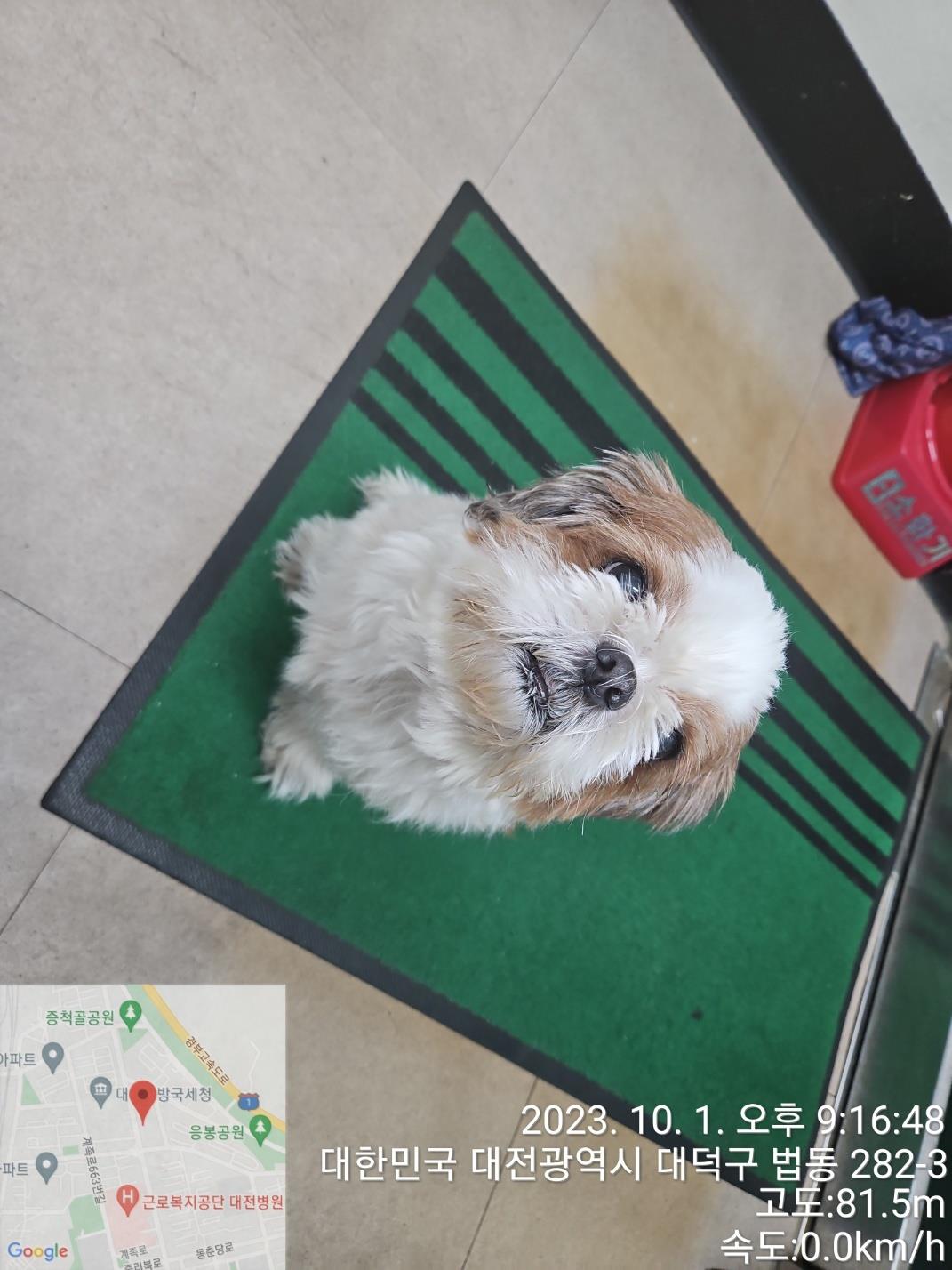 대전동물보호센터_430368202300442