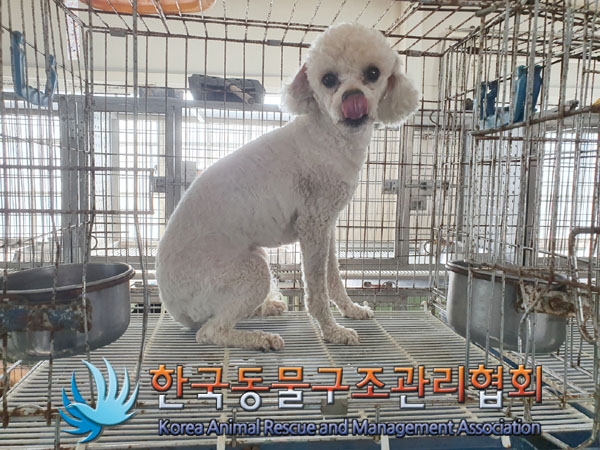 한국동물구조관리협회_441560202301301