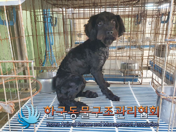 한국동물구조관리협회_411318202300410
