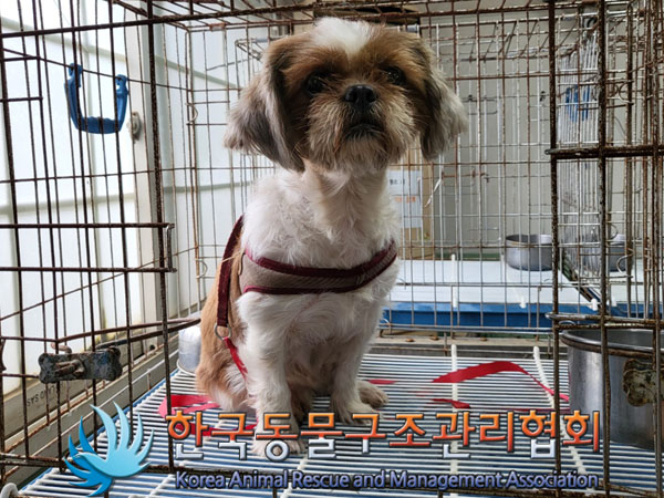 한국동물구조관리협회_441559202300961