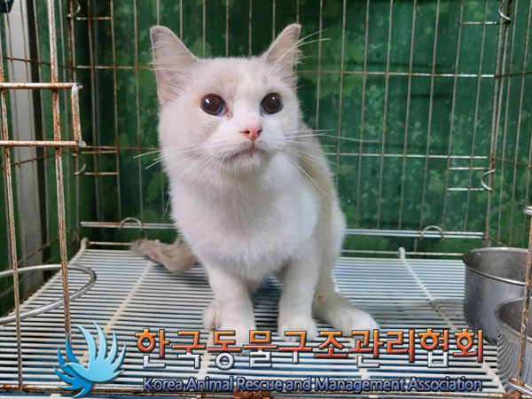 한국동물구조관리협회_411322202300654