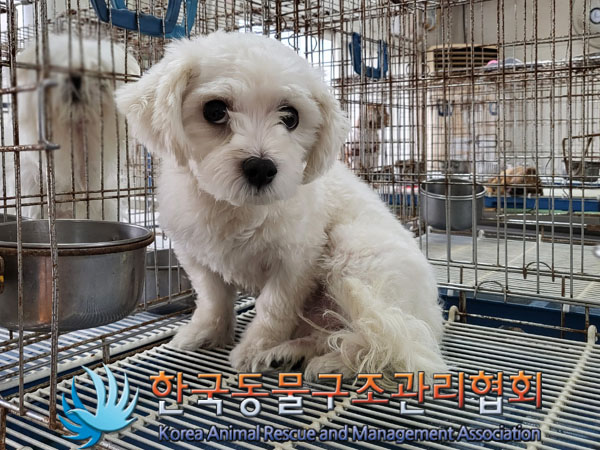 한국동물구조관리협회_411310202300450