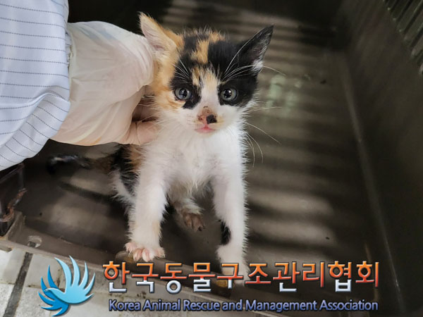 종료(자연사) 한국…
