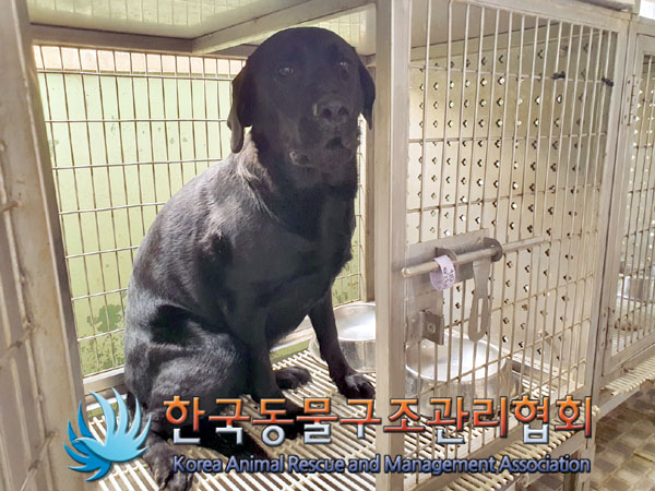 한국동물구조관리협회_441414202300750