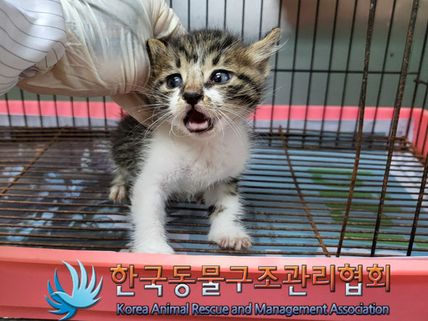 한국동물구조관리협회_441560202301302