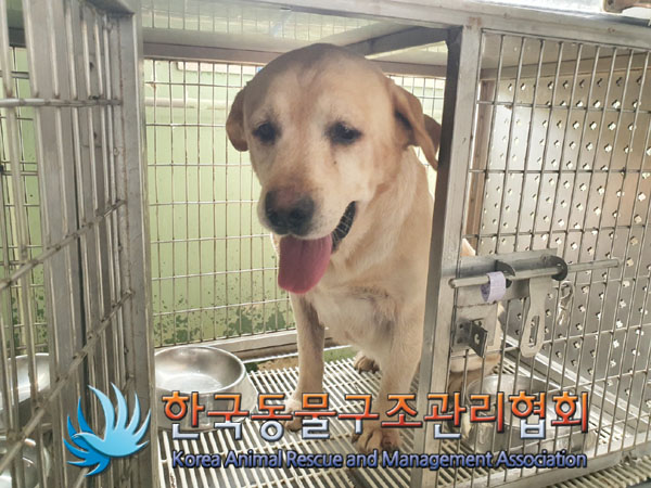 종료(반환) 라브라…