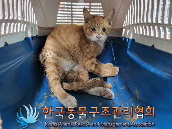 한국동물구조관리협회_411301202300524
