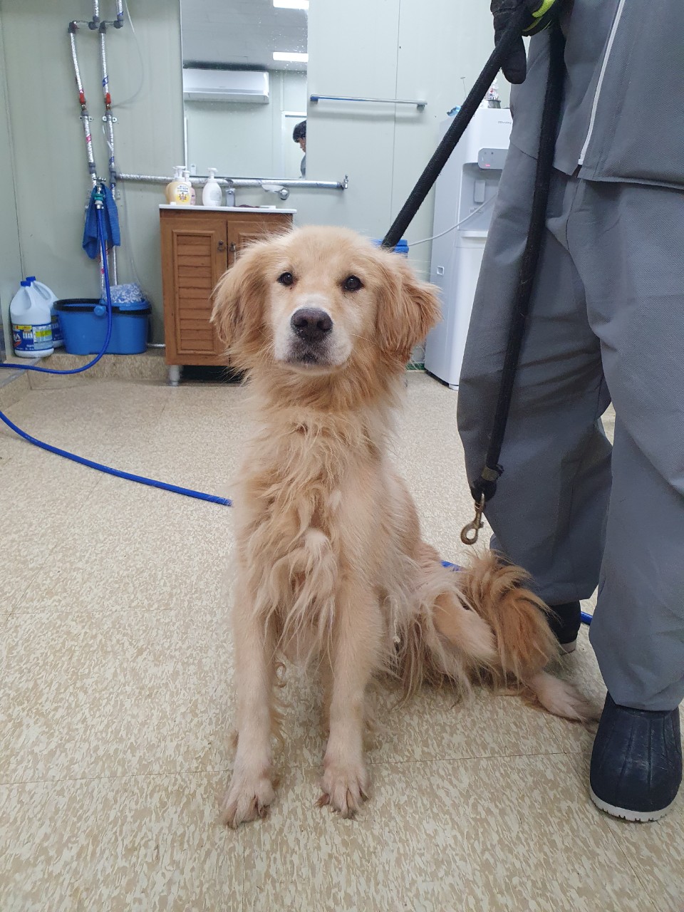 남양주시동물보호센터_441399202302559