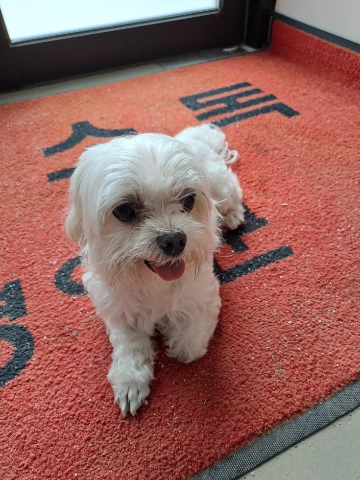 영양군유기동물보호소_447517202300082