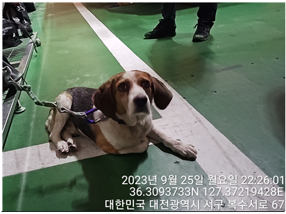 대전동물보호센터_430366202300545