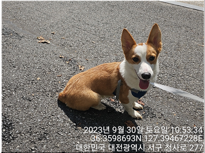 종료(반환) 웰시 …