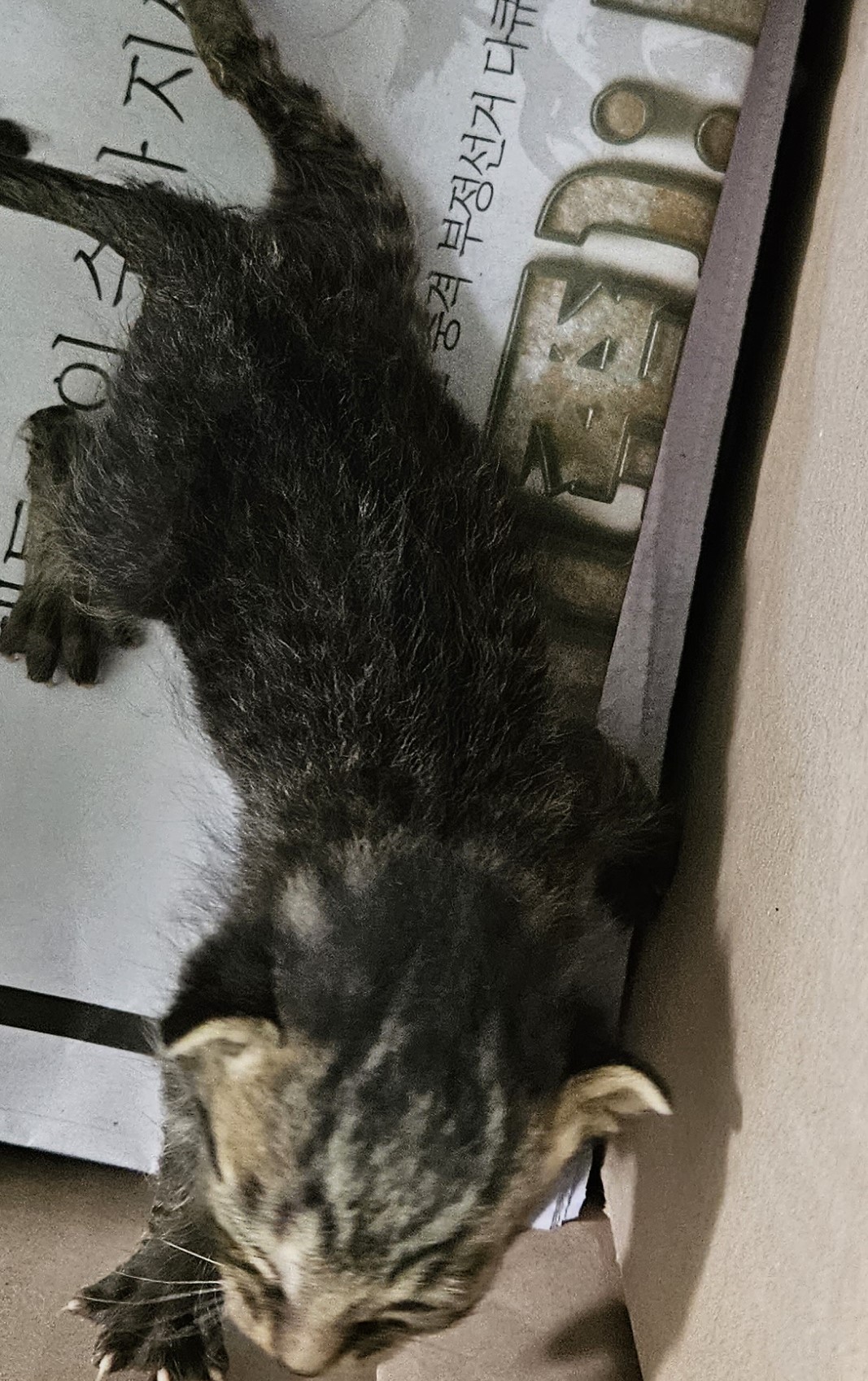 종료(자연사) 한국…
