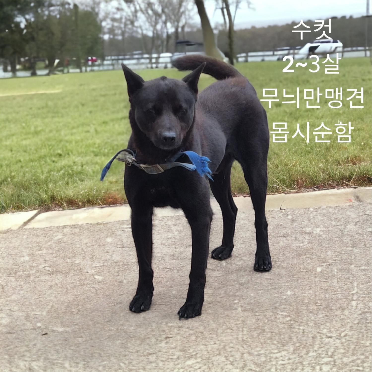 성주유기동물보호센터_447521202300328