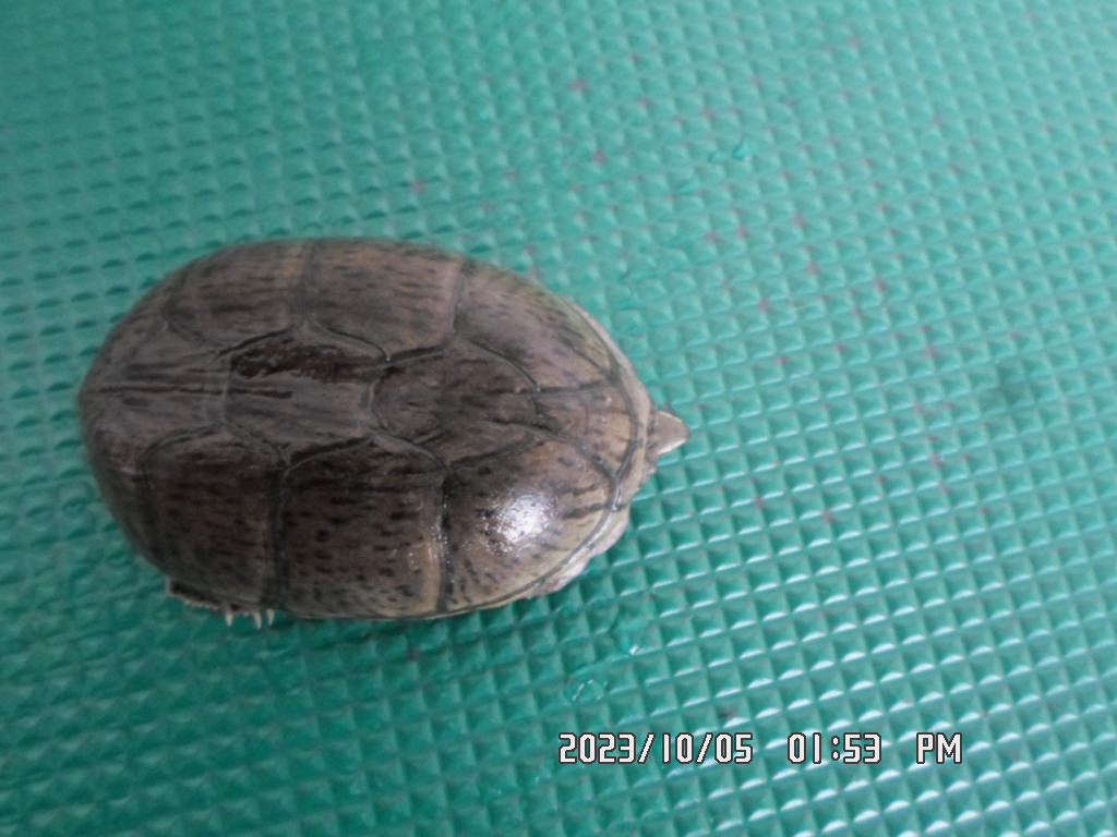 디아크동물종합병원_411319202300474