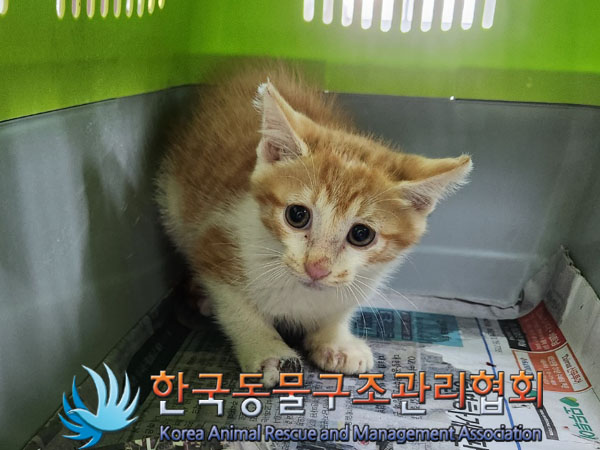 한국동물구조관리협회_411311202300793