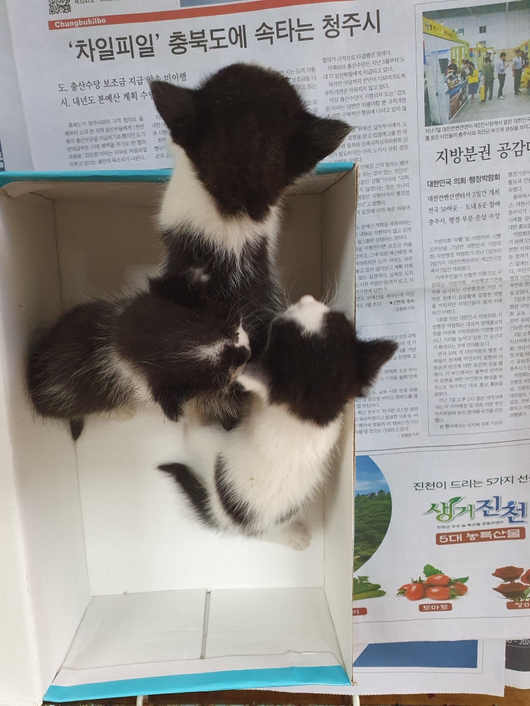종료(자연사) 한국…