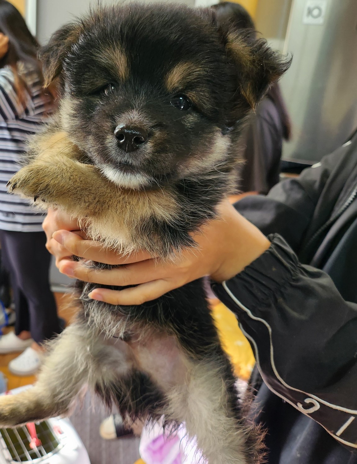 울산유기동물보호센터_431373202301073