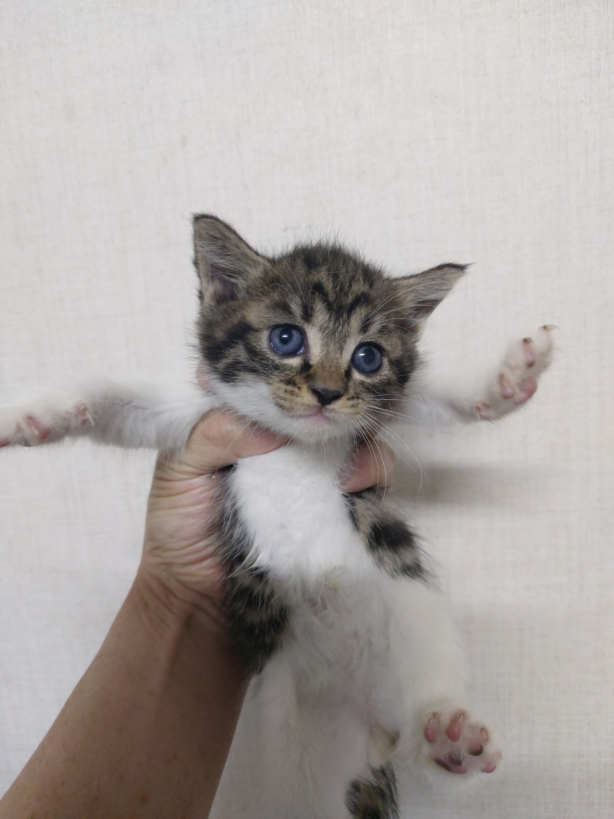 우리동물병원_428356202301708